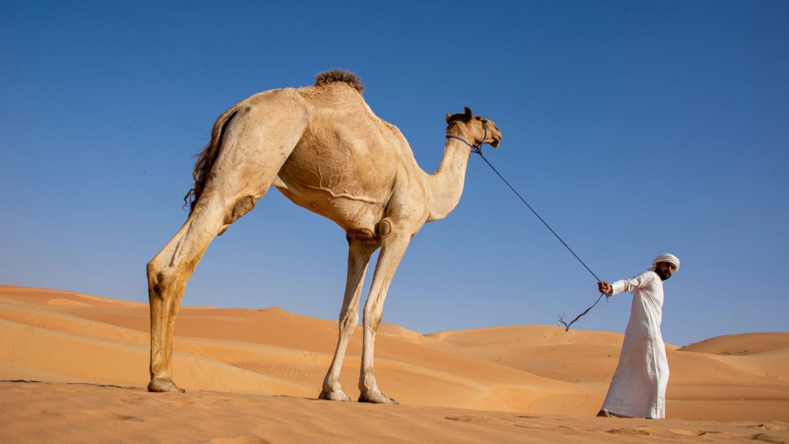 Todo lo que necesitas saber de los Emiratos Árabes Unidos